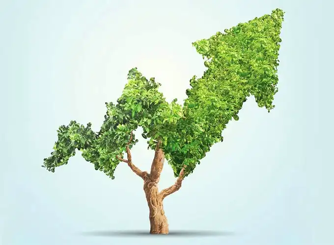 Increasing profits ethically